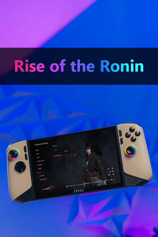 Rise of the Ronin